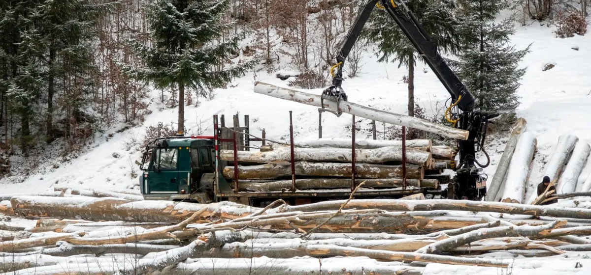 Forest Vehicles