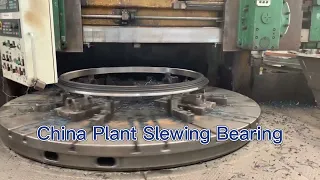 Standard and Non Standard Slewing Bearing Producer