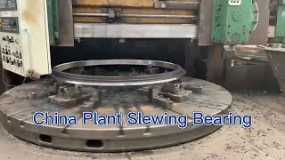 Slewing Bearing OEM