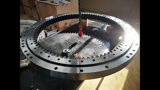 Liebherr Series Large Diameter Bearings