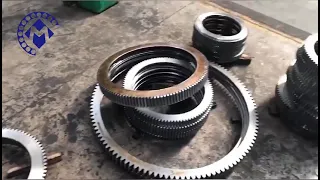 Rollix Series Slewing Bearing