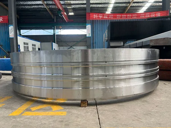 Slewing Bearing Assembly